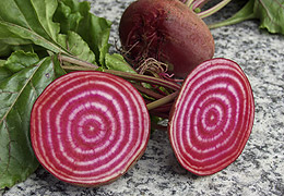 Randen_Chioggia.jpg