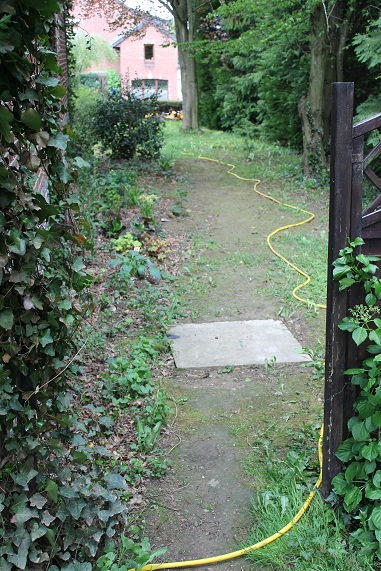 sentier 1.JPG