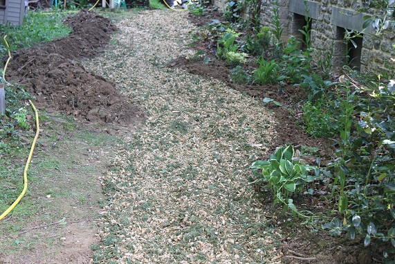 sentier 8.JPG