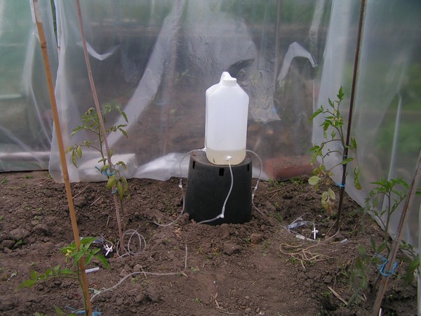 Arrosage goutte à goutte par perfusion