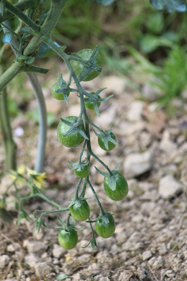Tel Aviv Train 0707.JPG