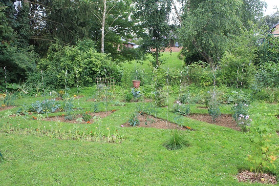 Potager tomates 1207.JPG