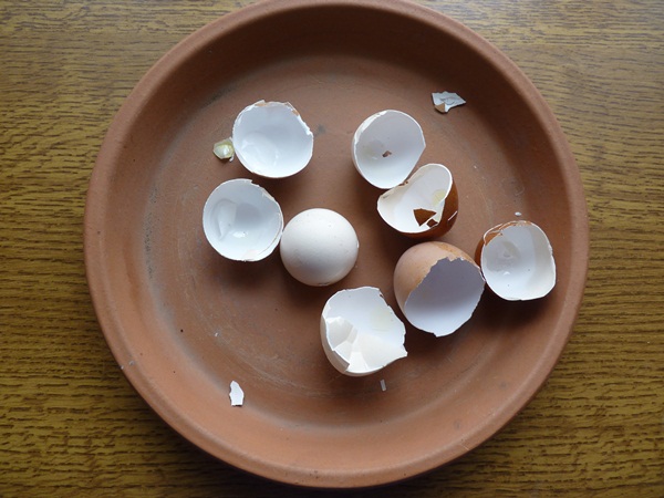 P1050240.JPG