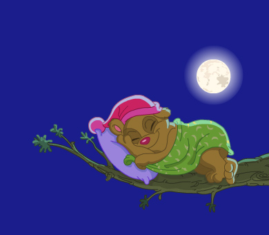 bear1.jpg