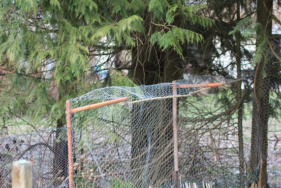 poules clotures 020.JPG