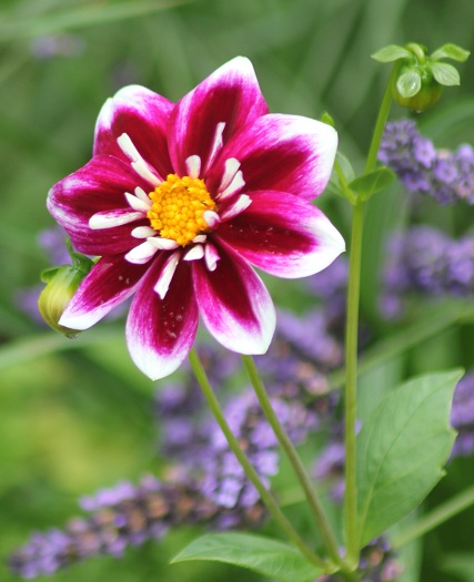 Impression Fabula 2807.JPG