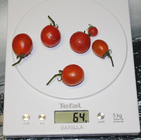 Tel Aviv Train 1408.JPG