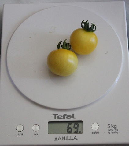 Transparente 1708.JPG