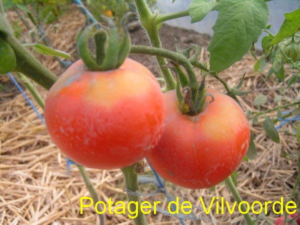 Potager de Vilvoorde
