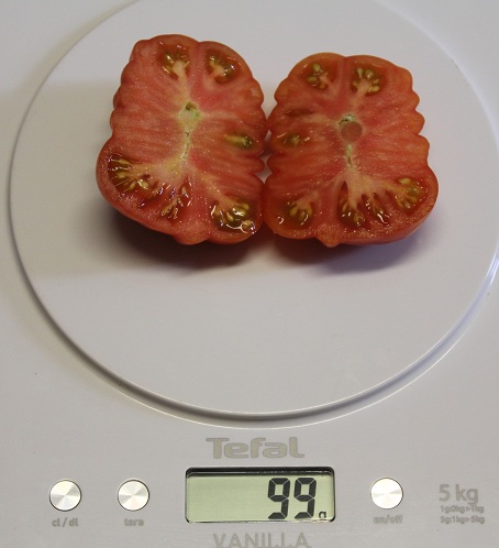 Hungarian coupe 2808.JPG