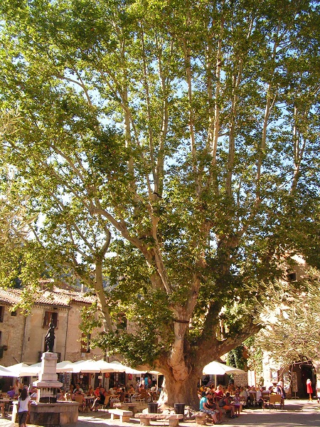 st guilhem le désert_1.JPG