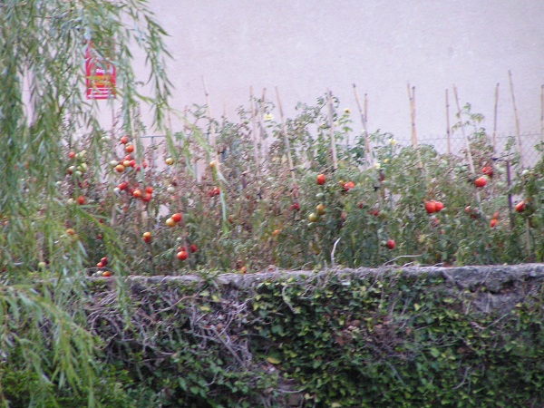 st guilhem le désert_8.JPG