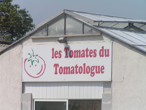 tomatologue_2.jpg