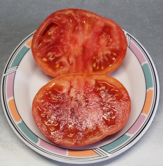 Chinoise rose coupe 1309.JPG