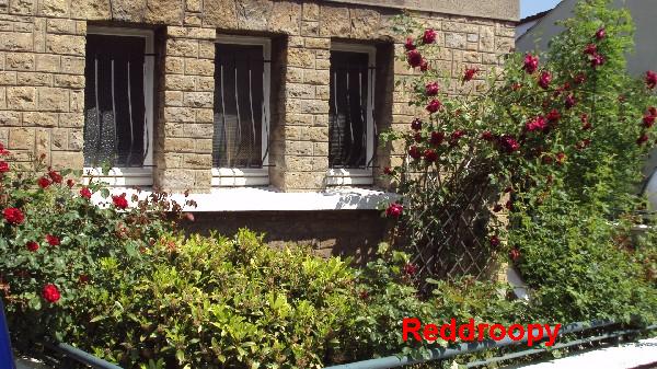 rosiers_façades_040610_3.JPG