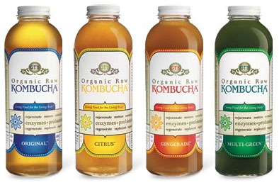 bière de Kombucha.jpg