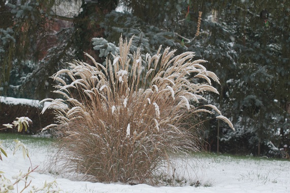 neige 035.JPG