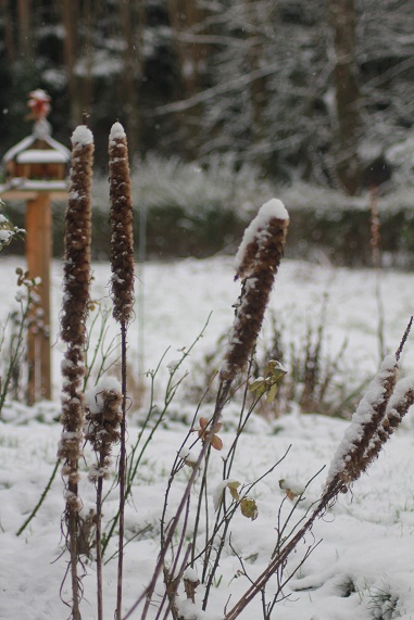 neige 029.JPG