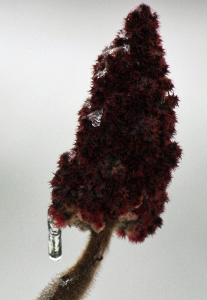 croix stjean 063.JPG