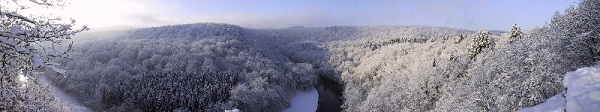 Foret_neige.JPG