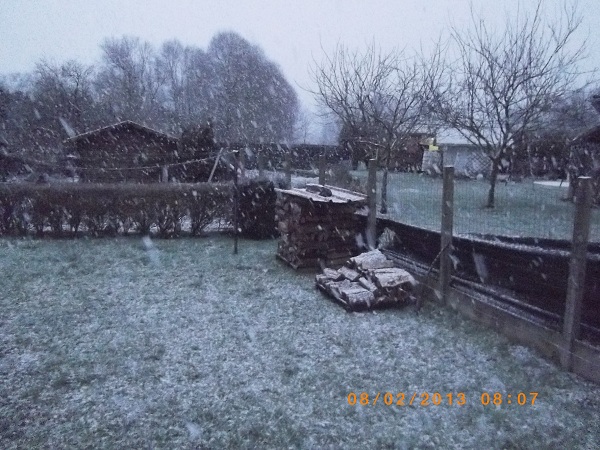 Chutes de neige.jpg
