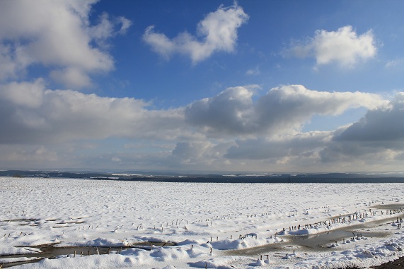 paysage 001.JPG