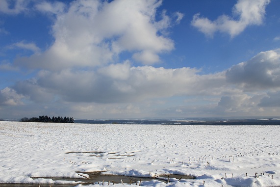 paysage 002.JPG