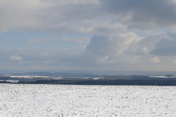 paysage 003.JPG