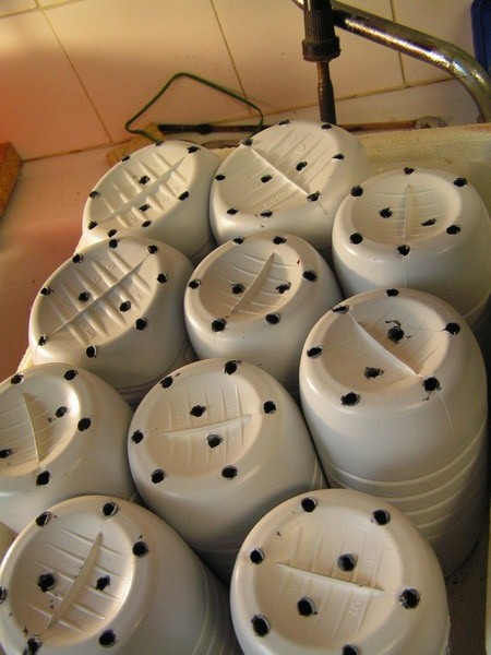 PICT0438.JPG