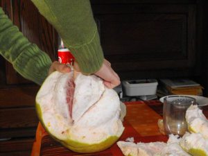pomelo.jpg