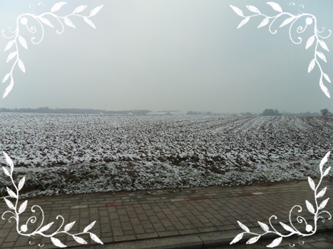 encore du froid