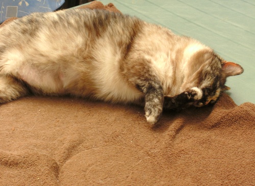 Hermine (4juin).JPG