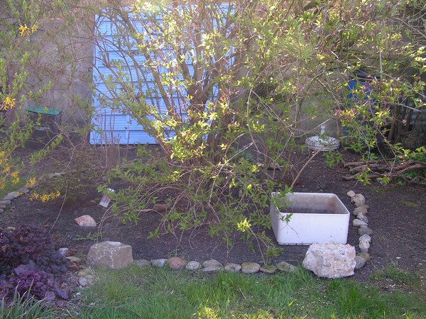 PICT0001.jpg