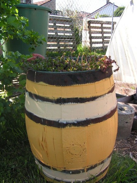 PICT0009.jpg