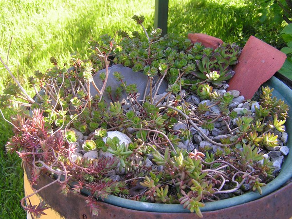 PICT0010.jpg