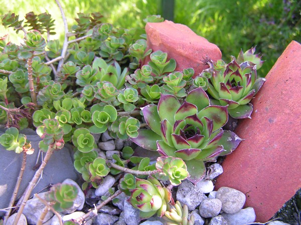 PICT0011.jpg