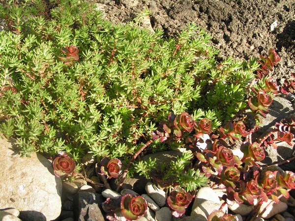 PICT0023.jpg