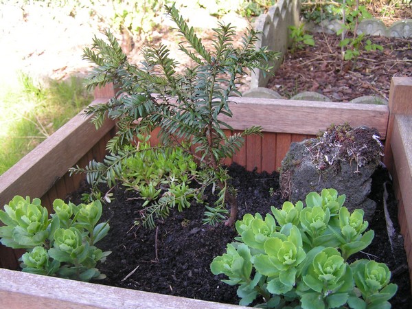 PICT0006.jpg