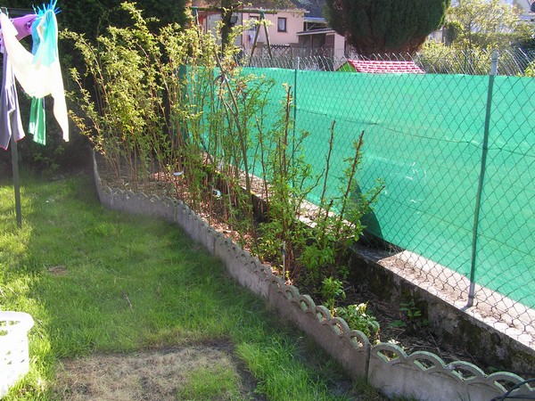 PICT0003.jpg