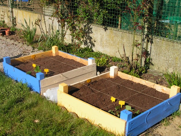PICT0007.jpg