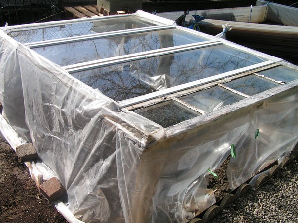 PICT0024.jpg