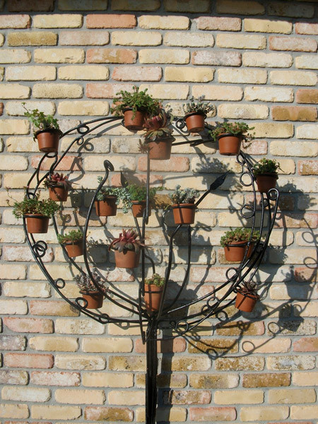 arbre_03.jpg