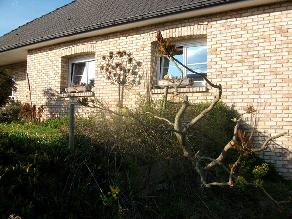 arbre_08.jpg