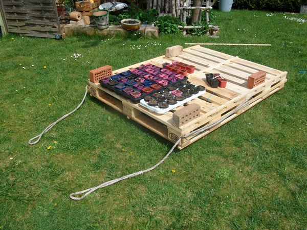 palette_semis_serre_mobile_09.jpg