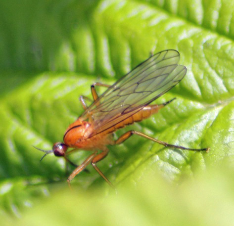 SPIDeR 2405 001.JPG