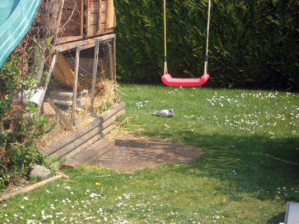 01.jpg
