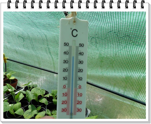 T) thermo FIABLE made in china, dehors c'était du moins 40°peut être du moins 50°, à l'intérieur les Antilles...