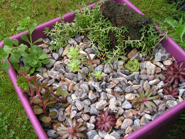 PICT0073.jpg