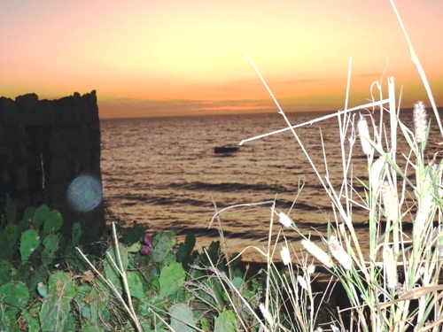 senegal talibés et plage fin 2009 504.jpg