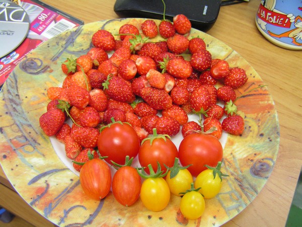 Tomates et fraises
